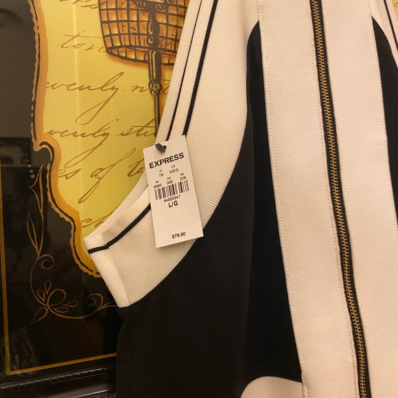 Express black and white halter dress. Zipper back, mesh around waist. SZ LG nwt - Picture 6 of 6